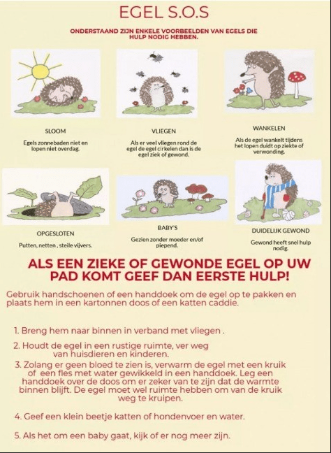 egel verzorging