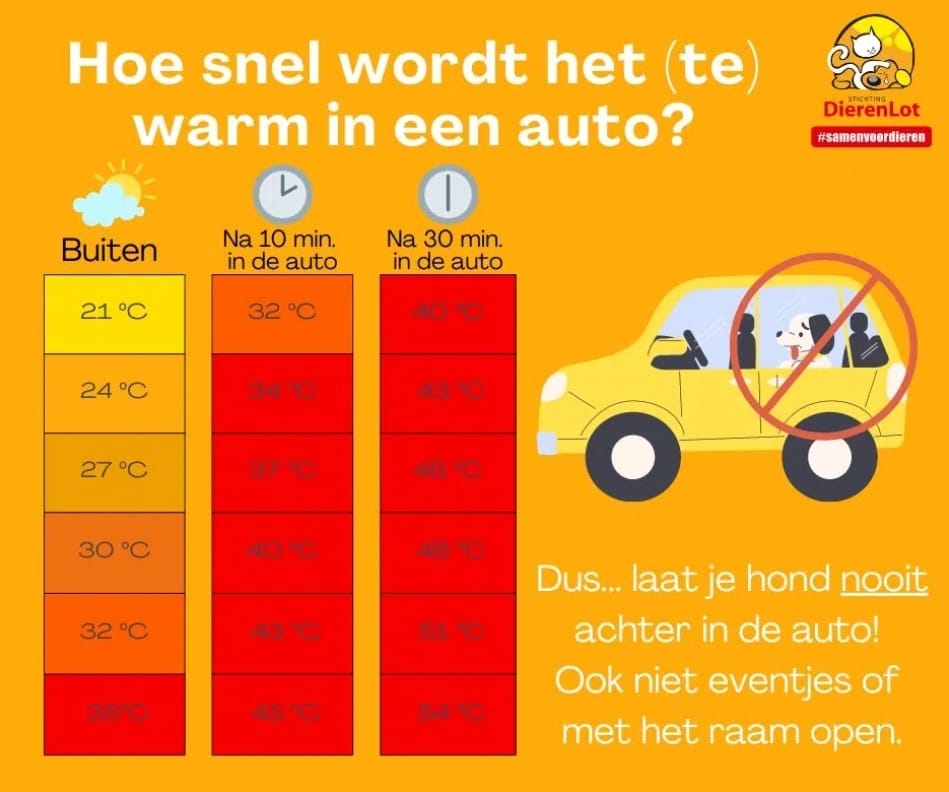 dieren niet achterlaten in een auto met warm weer
