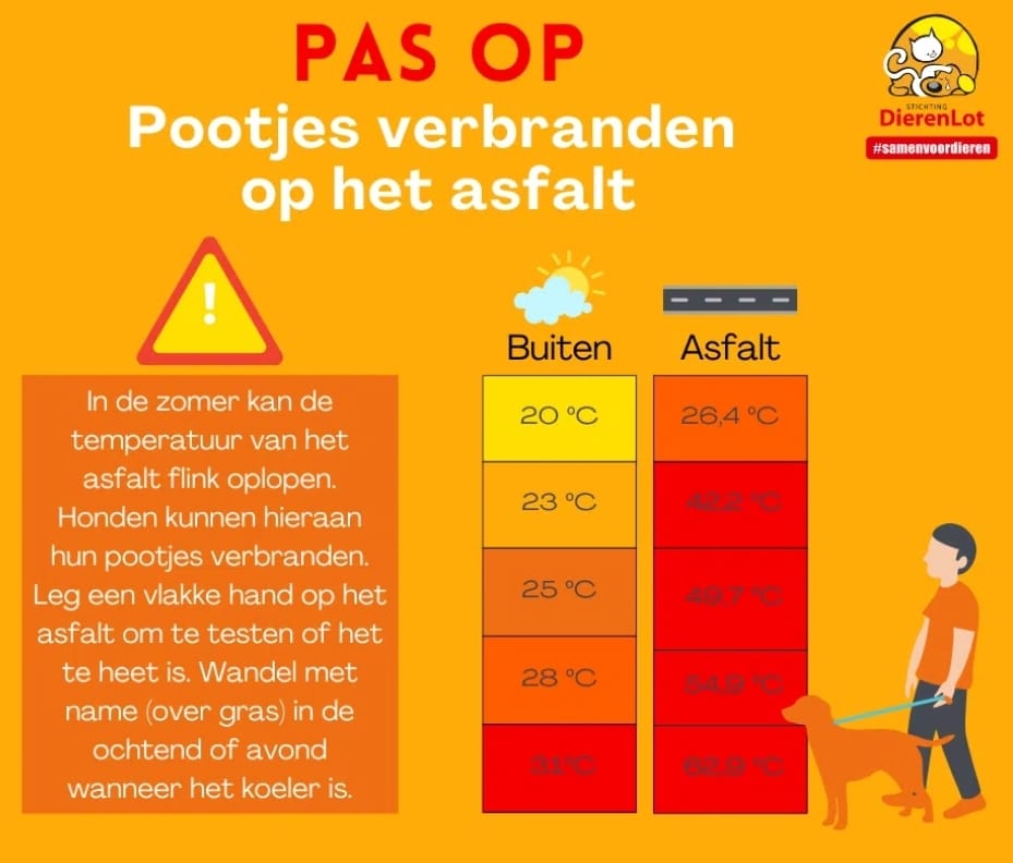 honden uitlaten met te warm weer